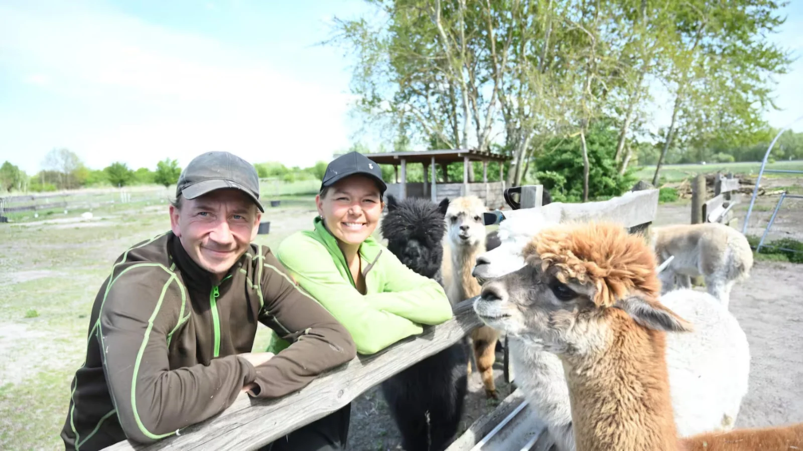 Monique und Olly mit Alpakas am Zaun